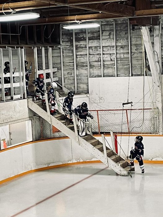 YouTuber throws support behind Lang Rink fundraiser Local news, Weather